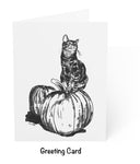 Moonkin Cat