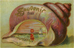 Vintage Summer Beach Postcard: Souvenir Shell Sunset