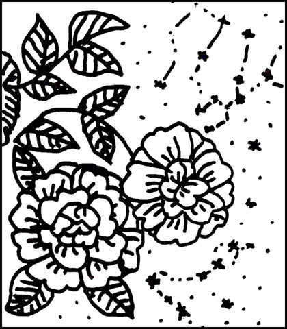 The Celestial Rose