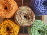 The Brady Bunch Palette Dye Class; dye Zoom Class, To be Announced