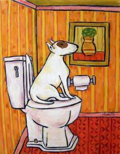 bullterrier