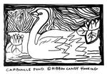 Carbuncle Pond