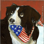 Nancy Thomas Pattern - DOG - BORDERCOLLIE FACE -