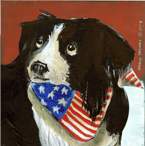 Nancy Thomas Pattern - DOG - BORDERCOLLIE FACE -