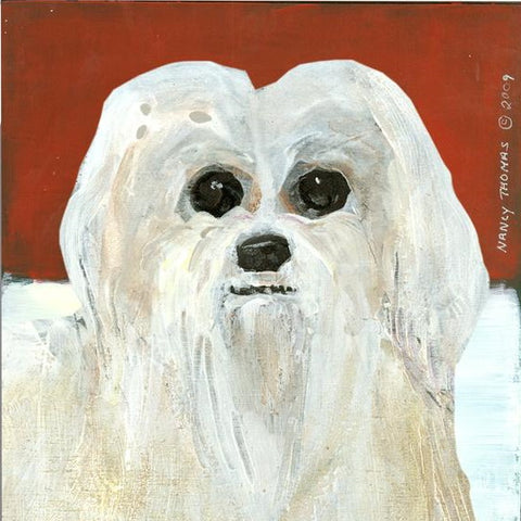 Nancy Thomas Pattern - DOG - MALTESE FACE -