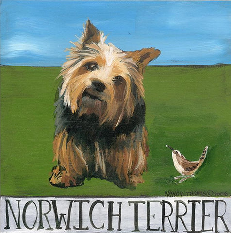 Nancy Thomas Pattern - DOG - NORWICH TERRIER -