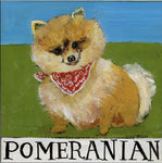 Nancy Thomas Pattern - DOG - POMERANIAN -