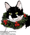 Meowy Lights