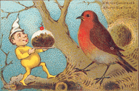 Vintage Christmas Postcard: Red Robin's Christmas Pudding