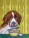 beagle eating cereal