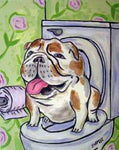 bulldog