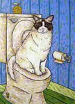 cat