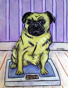 fat pug