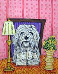 havanese reading