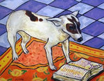 rat terrier reading