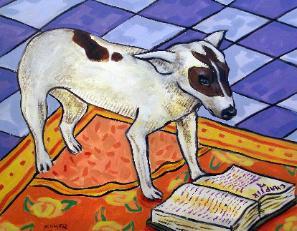 rat terrier reading