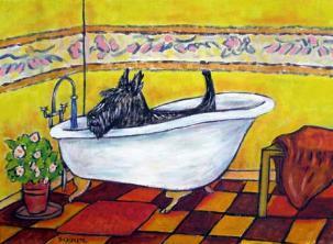 scottish terrier bath