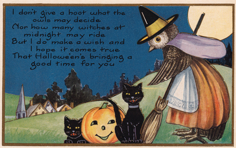 Vintage Halloween Postcard: I don't give a Hoot