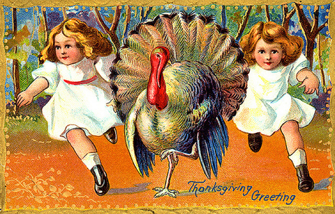 Vintage Thanksgiving Postcard: Turkey Run