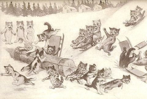 Vintage Postcard: Cats' Sledding Disaster