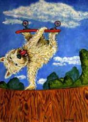 westie skateboard ramp